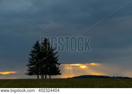 Landscape at sunset in Slavkovsky les near Horni Slavkov, Western Bohemia, Czech Republic