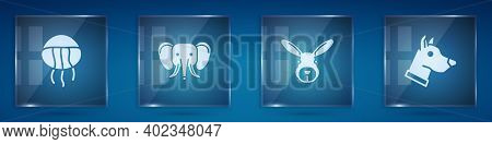 Set Jellyfish, Elephant, Rabbit Head And Dog. Square Glass Panels. Vector