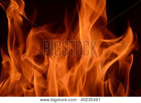 fuego