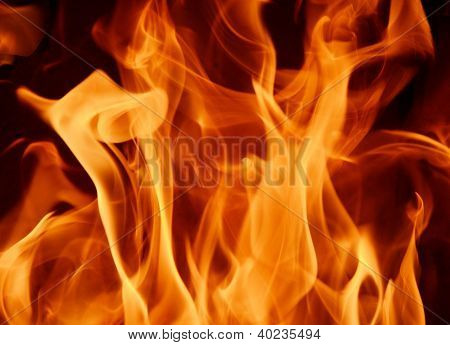 fuego