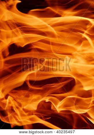 fuego