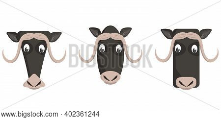 Set Of Cartoon Muskoxen. Different Shapes Of Animal Heads.