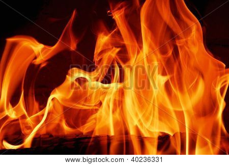 leña y fuego