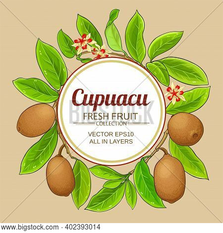 Cupuacu Branches Vector Frame On Color Background