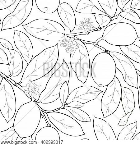 Cupuacu Branches Vector Pattern On White Background