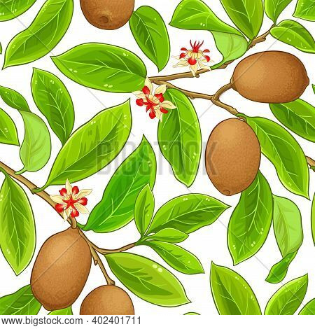 Cupuacu Branches Vector Pattern On White Background