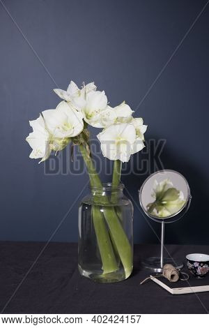 Bouquet Of White Amaryllis In A Tall Vase Next To The Dark Blue Wall. Mirrow With Reflection And Cup