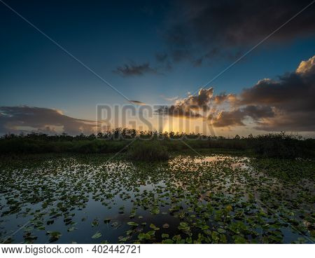 Sun Rays Cut Through Horizon Over Everglades At Dawn