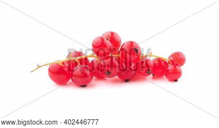Fresh Red Currant Isolated On White Background