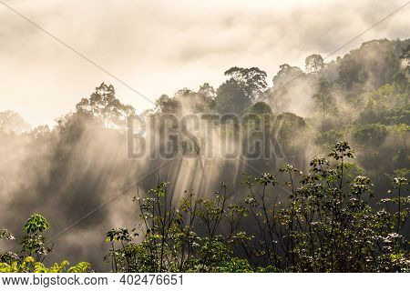 Khao Khai Nui, Sea Of Fog In The Winter Mornings At Sunrise, New Landmark To See Beautiful Scenery A