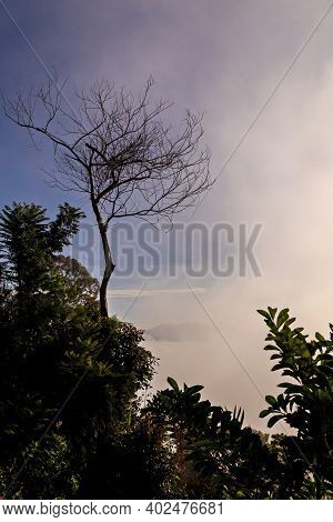Khao Khai Nui, Sea Of Fog In The Winter Mornings At Sunrise, New Landmark To See Beautiful Scenery A