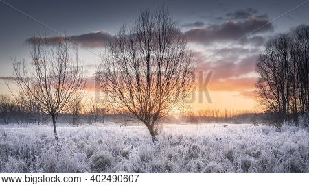 Beautiful Winter Sunrise Over Frosted Landscape With Tall Grass, Thistles And Bare Trees, Broekpolde