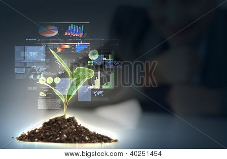 Peníze Sprouting - finance a peníze symboly klíčení ze stonků