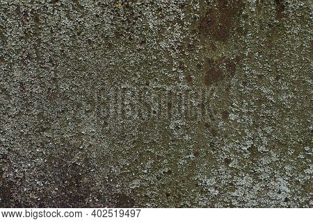 A Sheet Of Rusty Mossy Iron. Texture. Close Up View.