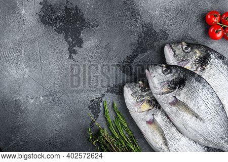Raw Set Of Seabream Or Gilt Head Bream Orata Fish With Herbs Pepper Lime Tomato For Cooking And Gril