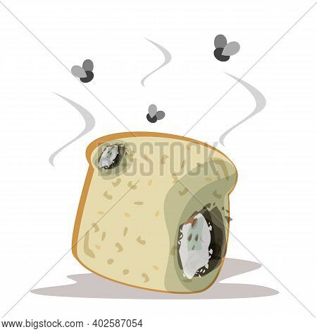 Fresh bread becomes rotten and bad vector isolated. Slice of a bread with mold on it. Food garbage, snak for breakfast. Flies flying around the product.