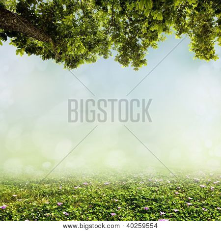 naturlig grøn baggrund med selektiv fokus