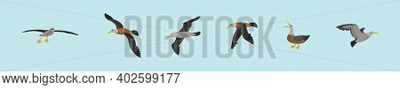 Set Of Albatross Cartoon Icon Design Template With Various Models. Modern Vector Illustration Isolat