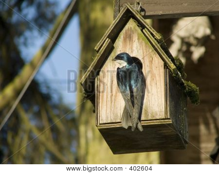 Hangin' rond
