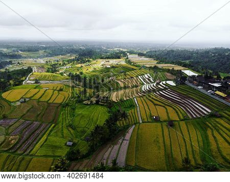 Aerial Panorama Of Rural Countryside Jatiluwih Rice Terraces Paddy Fields Farming Agriculture In Tab
