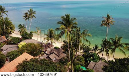 Palms On Beach Near Blue Sea. Drone View Of Tropical Coconut Palms Growing On Sandy Shore Of Clean B