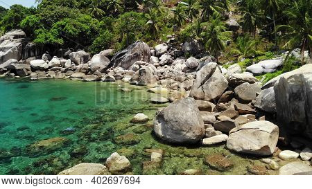 Tropical Palms And Stones On Small Beach. Many Green Exotic Palms Growing On Rocky Shore Near Calm B