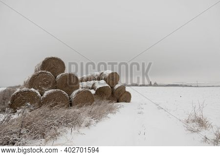 Haystacks Prepared For Animal Feed In Winter. Hay Storage In Winter.
