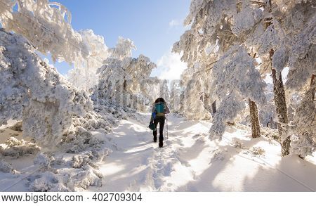 Snowy Landscape Of The Sierra De Guadarrama, Between Madrid And Segovia. Panoramic With Frozen Fores