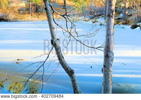 Frozen Pond Surrounded By Deciduous Trees During Winter Talen In The Rural Countryside