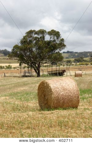 Haybale