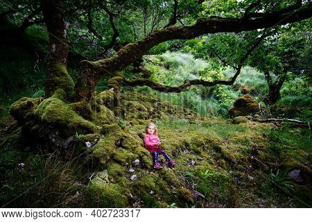 Cute Little Happy Toddler Girl In Green Moss Forest Of Glenveagh National Park In Ireland. Smiling A