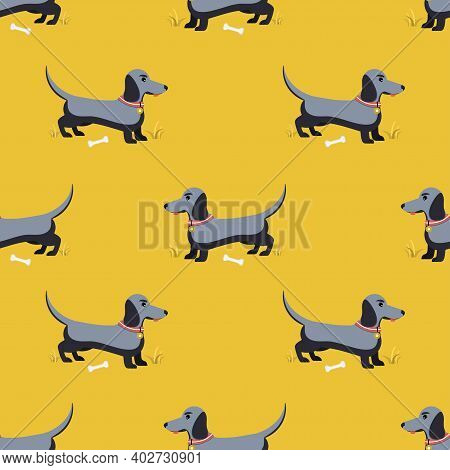 Pattern Of Cute Dachshund Dogs. Flat Vector Illustration.