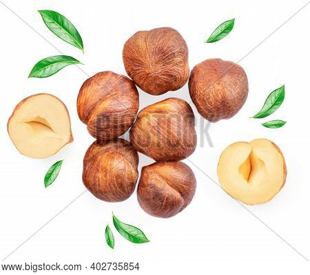 Full And Halfs Of Hazelnuts Isolated On White Background. Hazelnut Macro.  High Resolution Image.