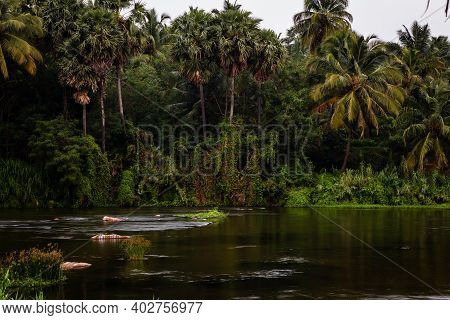 View Of Smooth And Silky Flow Of Water In Bharathappuzha River (also Known As Nila Or Ponnani River)