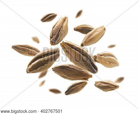 Barley Malt Grains Levitate On A White Background