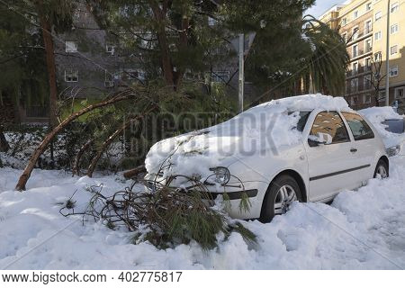 Madrid, Spain - January 10, 2021: Broken Branches Of The Trees Due To The Excess Weight Of Snow And 