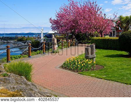 Spectacular Walkway Along The Shoreline Of Sidney Bc, Vancouver Island In The Springtime