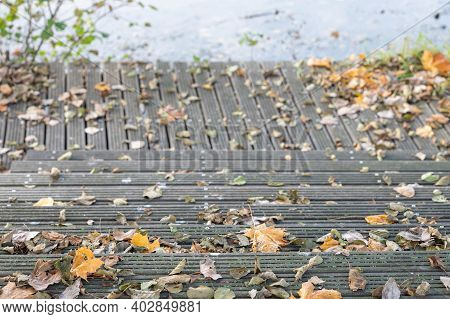 Autumn Walk On The Lake During The Day