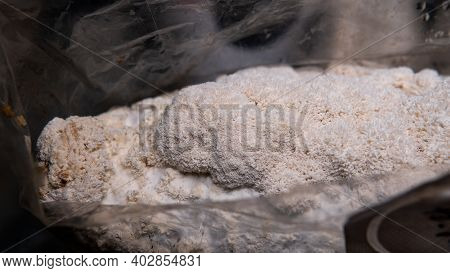 Nootropic Mushroom , Medicinal Mushrooms - Lion's Mane