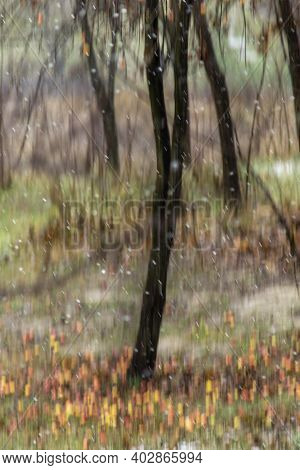 Snow Falling With Motion Blur And Broen Autumn Leafs Behind