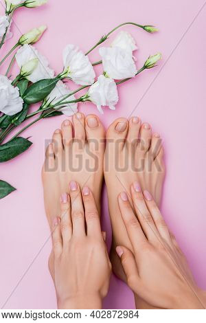 Top View Of Female Hands And Feet With Pastel Nail Polish Near White Eustoma Flowers On Pink Backgro