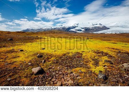 Sunny landscape of snowy mountains and green valley. Location place Oraefajokull glacier, Vatnajokull National Park, Iceland, Europe. Image of exotic world landmarks. Discover the beauty of earth.