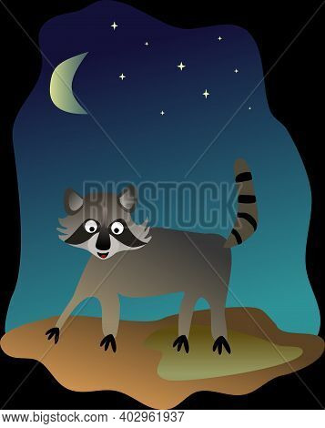 Raccoon Walking In The Night With Moon