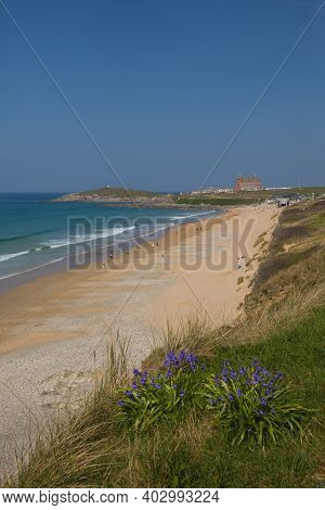 Newquay Cornwall Fistral Beach With Flowers One Of The Best Surfing Beaches In The South West Uk