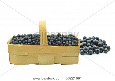 punnet with blueberries