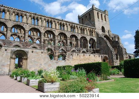 Jedburgh Abbey View