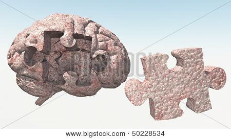 Brain Puzzle