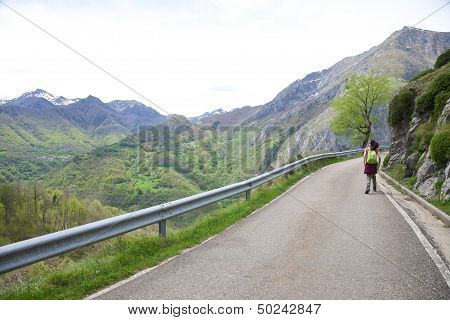Walking On Road At Picos De Europa