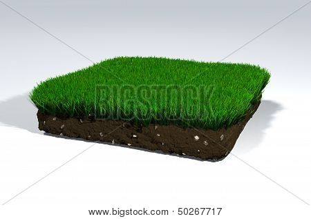 Clod Of Soil