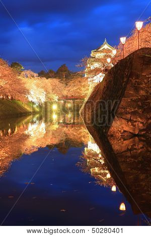 Light Up Of Hirosaki Castle And Cherry Blossoms